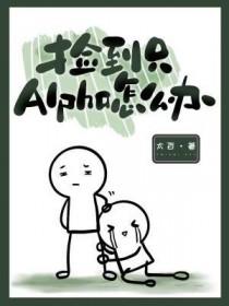 捡到一个alpha讲了啥