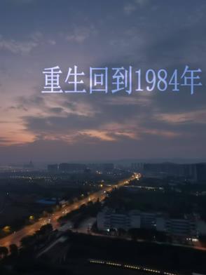 重生回到1984年许大海