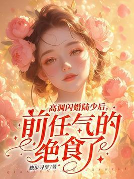 闪婚陆少太心急